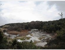 612-31d8968ce32b09cf493e34e4176ba50bjpg