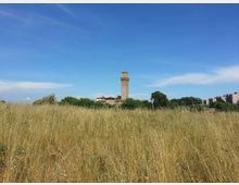 Ampio prato di erba alta in primo piano con una torre in pietra alta e quadrata che svetta tra alberi e vegetazione sullo sfondo. A destra si intravedono edifici residenziali sotto un cielo azzurro con leggere nuvole.