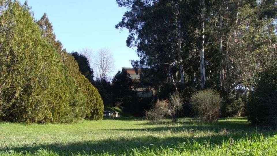 51791-photo-panoramica2-jpgjpg