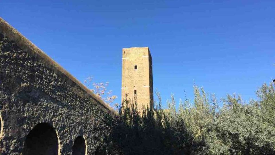 51756-photo-11-la-torre-del-fiscale-jpgjpg