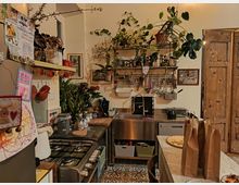Cucina domestica con piano cottura a gas e grande lavello in acciaio, mensole a parete con utensili appesi e numerose piante verdi. Pavimento con piastrelle decorative, ripiani e mobili in legno, e una porta in legno sul lato destro.