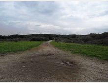 612-3fe3360dfb1457da7cabe76992e6ea2fjpg