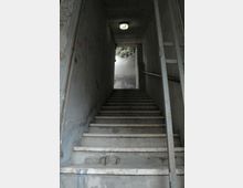 Scala interna in cemento in un corridoio stretto con pareti grigie segnate da graffiti e corrimano metallico, illuminata da una lampada a soffitto. In cima ai gradini una porta aperta conduce all’esterno, dove si intravede un muro e la chioma di un albero.