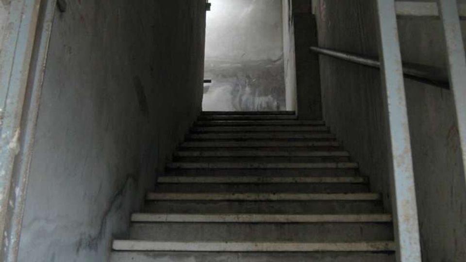 Scala interna in cemento in un corridoio stretto con pareti grigie segnate da graffiti e corrimano metallico, illuminata da una lampada a soffitto. In cima ai gradini una porta aperta conduce all’esterno, dove si intravede un muro e la chioma di un albero.