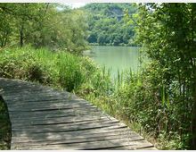 52119-photo-teverefarfa46-jpgjpg