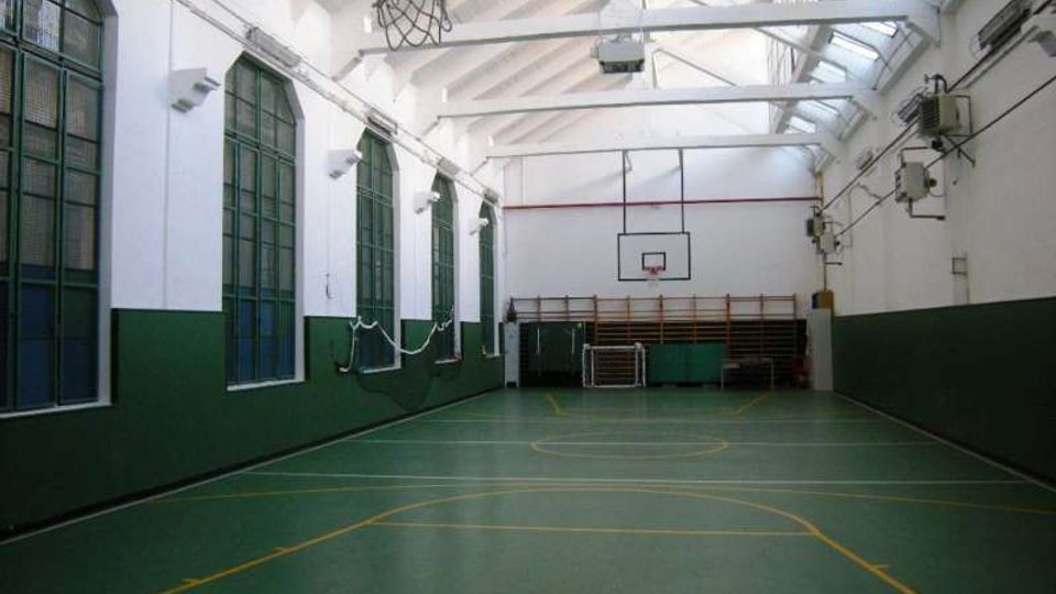 Palestra scolastica coperta con campo da basket verde segnato da linee gialle, canestro a parete sul fondo e una rete appesa al soffitto. Grandi finestre ad arco lungo la parete sinistra e soffitto alto con travi bianche e lucernari.