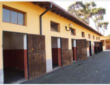 Fila di box per cavalli in una scuderia, con facciata gialla e porte a metà in legno aperte lungo un corridoio esterno. Tetto a falda con grondaie e lampade a parete, con alberi alti sullo sfondo.