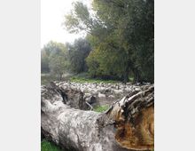 560-d161d4433904e1a56a3fb56b5e0c6446jpg