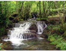 51847-photo-cascatella-tartare-800-jpgjpg