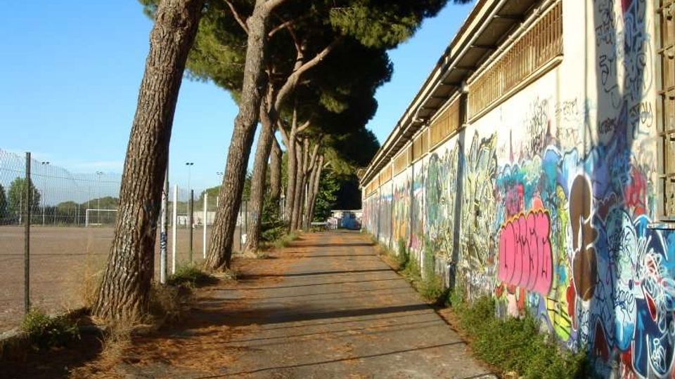 Vialetto asfaltato alberato con pini lungo il lato sinistro, affiancato a destra da un lungo edificio basso con pareti ricoperte di graffiti. A sinistra si vede una recinzione metallica che delimita un campo sportivo.