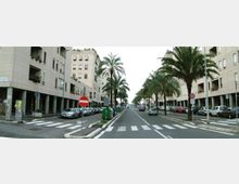 Viale urbano a doppia carreggiata con palme lungo il viale centrale e ai lati, fiancheggiato da edifici moderni con portici al piano terra. Sono visibili strisce pedonali, segnaletica stradale e auto parcheggiate lungo la strada.