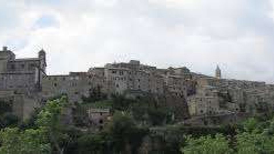 Panorama di un borgo in pietra arroccato su una collina, con un grande castello o complesso fortificato in sommità e case addossate lungo il pendio. In primo piano si vedono alberi e vegetazione, sullo sfondo cielo parzialmente nuvoloso.