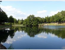 51986-photo-pontini1-jpgjpg