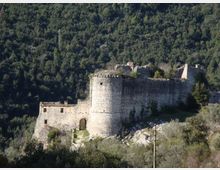 Rovine di un castello in pietra su un pendio boscoso, con una grande torre cilindrica e mura spesse parzialmente crollate. In primo piano si vede un sentiero d’accesso e, sullo sfondo, la collina coperta di alberi.
