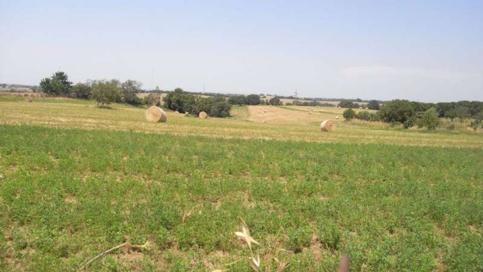 Ampio paesaggio rurale con campi coltivati e rotoballe di fieno sparse, interrotto da piccoli gruppi di alberi e siepi. Sullo sfondo si vede una linea di colline basse sotto un cielo sereno e chiaro.