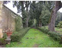 290-7caaa3d1e12246989f5ff2a0e8dcfbaejpg