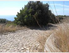 576-8fd42327a7d0df2e931275819a0a4351jpg