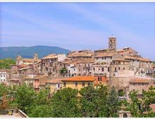 Vista panoramica di un borgo collinare con case in pietra addossate e tetti in coppi, dominato da un campanile e da edifici storici. In primo piano si vedono alberi e vegetazione, con colline sullo sfondo sotto un cielo sereno.