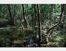 51864-photo-170916236-jpgjpg