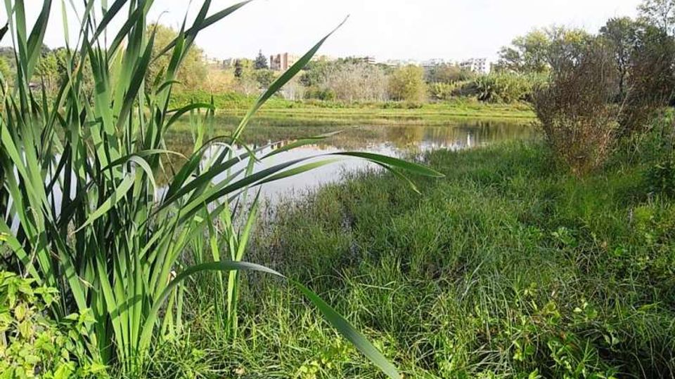 561-f65155ceca6fe5ef0606dccbe44987b1jpg