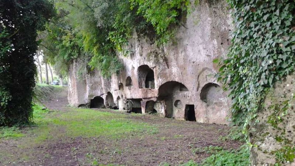Parete rocciosa lunga con numerose nicchie e aperture ad arco scavate nella pietra, alcune con ingressi rettangolari, lungo un sentiero di terra. La scarpata è ricoperta di edera e vegetazione, con alberi e prato ai lati.