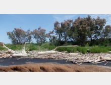 52091-photo-25-maggio-2014-48-jpgjpg