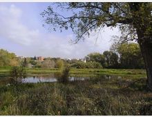 561-6c05af8a767237b068092355caabdbabjpg