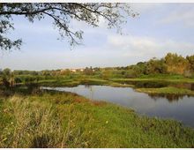 561-57f5b5b043f7c56fc273e655e54bae30jpg