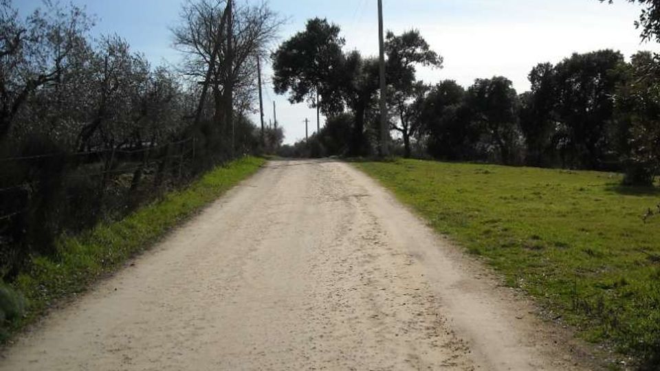 Strada sterrata di campagna che si allunga in prospettiva tra prati verdi e alberi, con pali della luce e cavi elettrici lungo il bordo. Sullo sfondo si vede la vegetazione e un cielo chiaro.