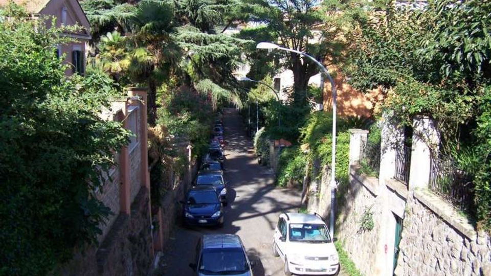 58273-photo-5015751-jpgjpg