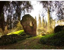 987-32379e5c95e3df944ec65dab46afd33ajpg