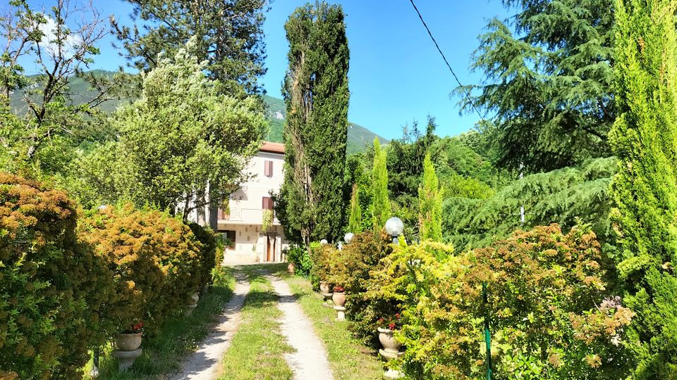 Viale sterrato con erba centrale che attraversa un giardino con cespugli e conifere alte, fiancheggiato da vasi decorativi e lampioni. Sullo sfondo si vede una casa chiara con persiane e, oltre, colline boscose sotto cielo sereno.