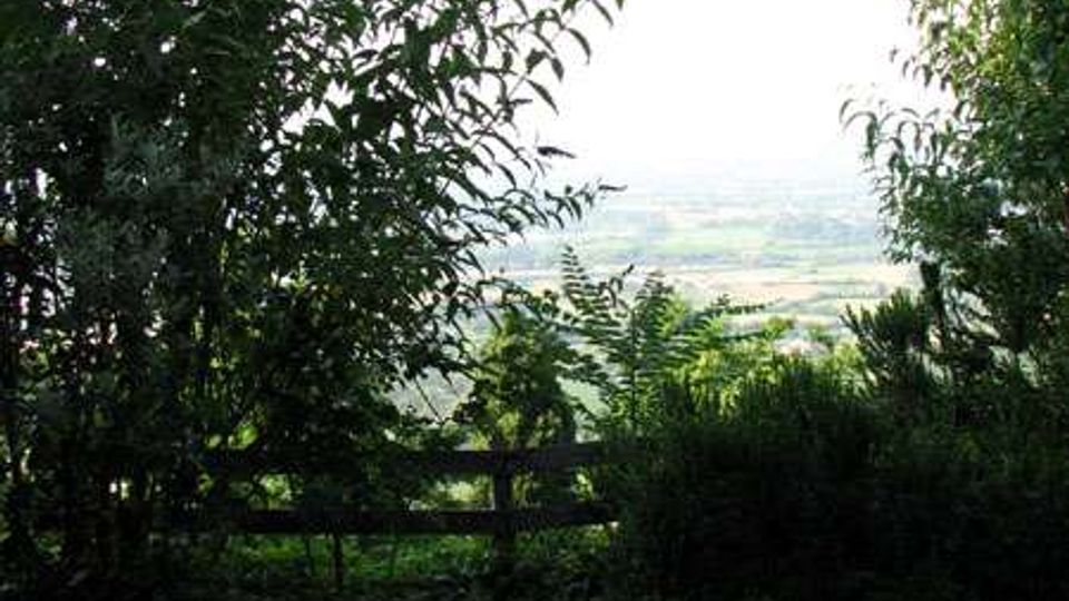 3005-25224d4738e405d46a559e5c37c2116djpg