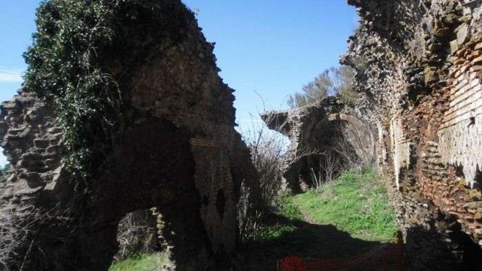 55913-photo-681135-orig-jpgjpg