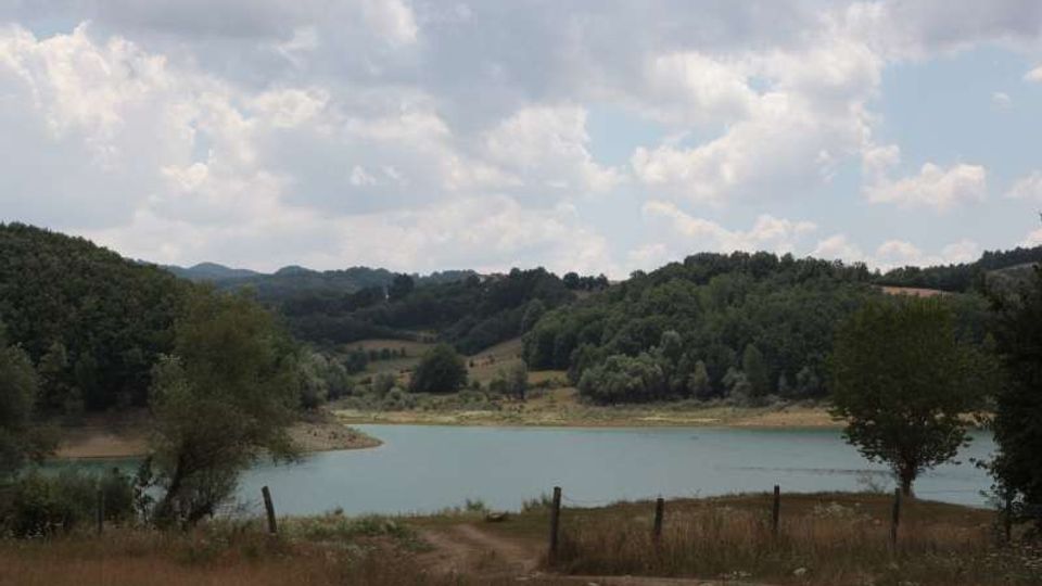 49501-photo-4-jpgjpg