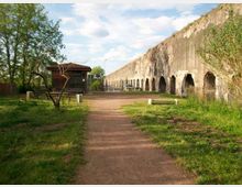 51924-photo-21151454-jpgjpg