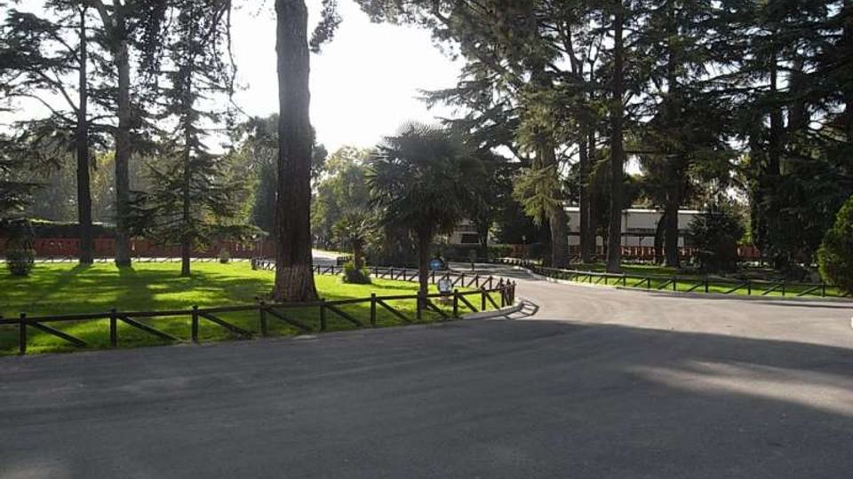 Viale asfaltato in un parco alberato, con grandi pini e altre conifere e prato verde ai lati. Il percorso curva in lontananza ed è delimitato da staccionate basse in legno lungo i bordi.