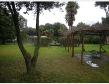 290-c92b665d8f9fa04f4f02bd7083439489jpg