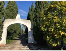 Arco d’ingresso in muratura bianca che apre su un viale alberato con alti cipressi, sotto un cielo sereno. In primo piano si vede una pavimentazione a mosaico e, sulla destra, un agrumeto con frutti arancioni.