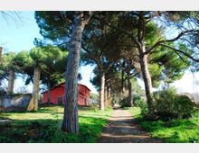 51913-photo-parcoaguzzano-d0-jpgjpg