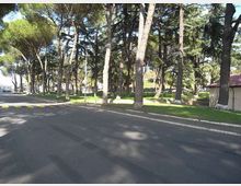 Strada asfaltata che costeggia un’area verde con numerosi alberi alti e pini, con prati e lampioni lungo il bordo. Sul lato destro si vede un piccolo edificio basso con tetto rosso, immerso nel parco.