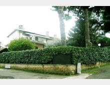 637-88d6a8b0deed926d5b91c4502339eeb7jpg