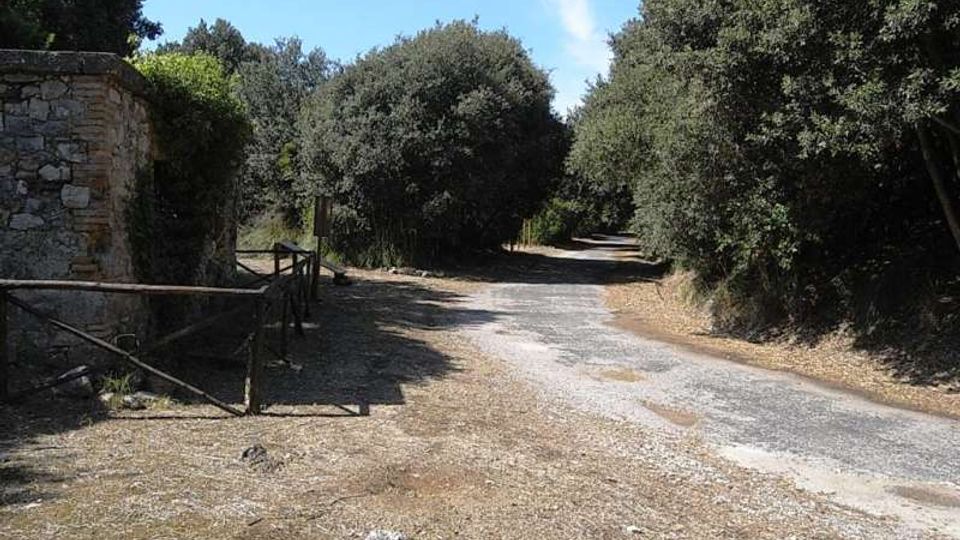 576-7ca650940f34a9cec8a843302ab1df92jpg