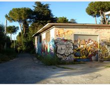 Piccolo edificio basso in cemento con tetto piatto e una serranda metallica, le pareti completamente coperte da graffiti e murales. La struttura si trova ai margini di una strada asfaltata, circondata da alberi alti e vegetazione.