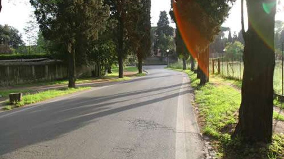 Strada asfaltata di campagna che curva leggermente, fiancheggiata da alti alberi e da una fascia di erba. Sul lato destro si vede una recinzione metallica lungo il bordo della strada e luce solare in controluce.
