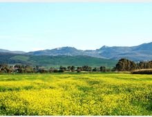 52094-photo-area-protetta2-800-jpgjpg