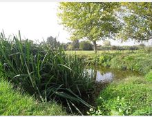 560-edc23822510adfc78ce07c4aee094159jpg