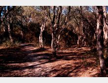 51908-photo-071021-0041-5060-jpgjpg