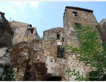Ruderi di edifici in pietra su un pendio roccioso, con mura parzialmente crollate, finestre vuote e una torre squadrata con tetto in coppi. In primo piano si vedono vegetazione e rami che crescono accanto alle strutture, sotto un cielo azzurro.