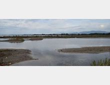 51769-photo-caprolace-31-jpgjpg